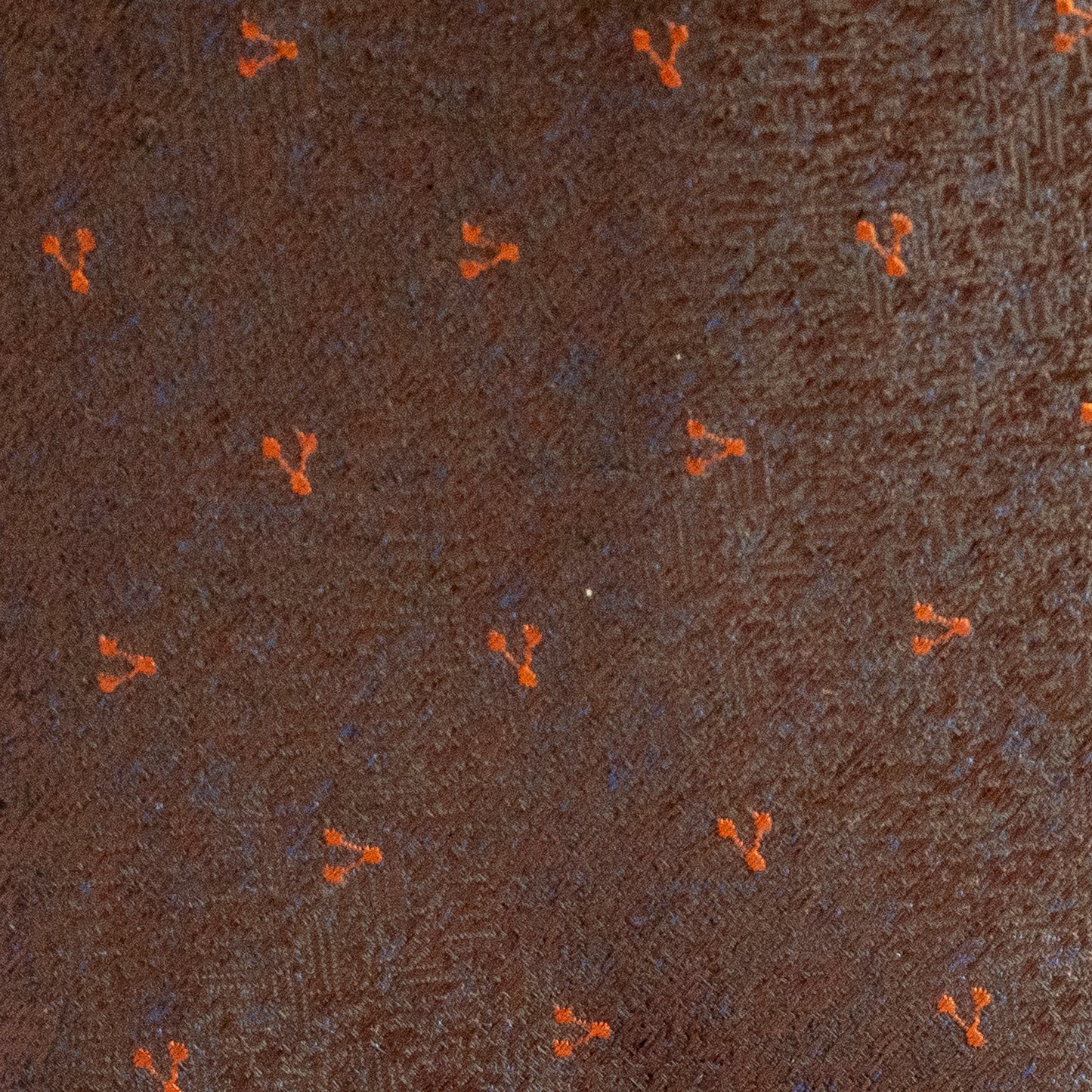 Brown textured surface with small orange objects scattered across it